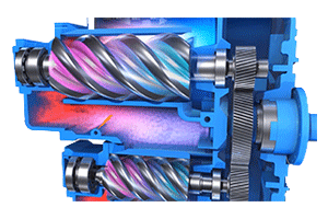 Piston Ring